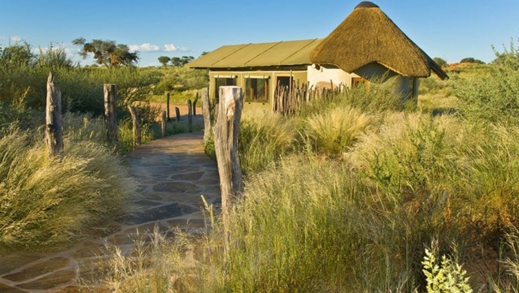 Kalahari Red Dunes Lodge - Gästezelt